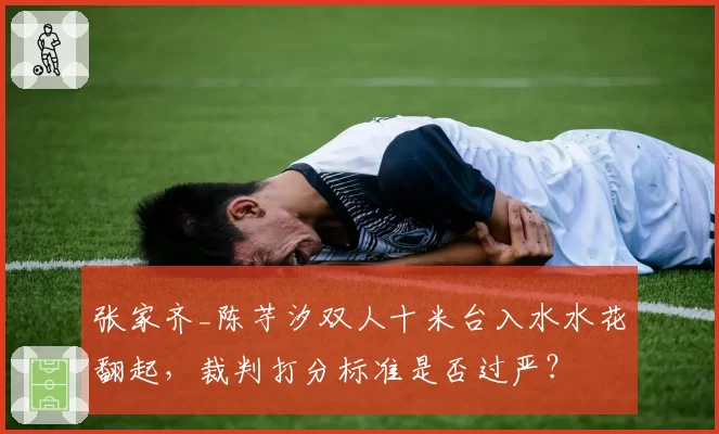 张家齐_陈芋汐双人十米台入水水花翻起,裁判打分标准是否过严?